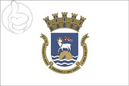 Bandera de San Juan de Puerto Rico
