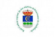 Bandera de La Carlota