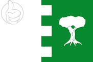Bandera de Agrón