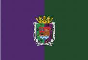 Bandera de Málaga con Escudo
