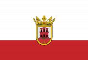 Bandera de San Roque