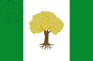 Bandera de Olivares de Júcar
