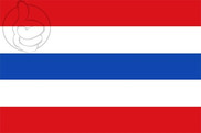 Bandera de El Picazo