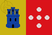Bandera de Zarra