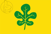 Bandera de Figuerola del Camp