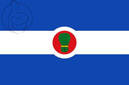 Bandera de Bagüés