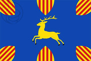 Bandera de Cerveruela