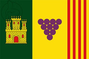 Bandera de Torrelavit