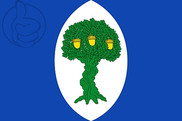 Bandera de Encinacorba