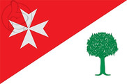 Bandera de Binaced