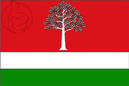 Bandera de El Fresno