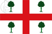 Bandera de Navalacruz
