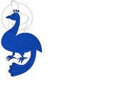 Bandera de Pau