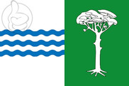 Bandera de Pedro Rodríguez