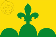 Bandera de Bellpuig