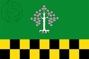 Bandera de Albesa