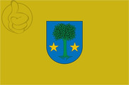 Bandera de Allín