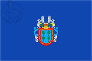 Bandera de Barañáin