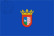 Bandera de Berriozar