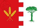 Bandera de Ataquines