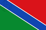 Bandera de Saelices de Mayorga