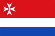 Bandera de Castrillo de Villavega