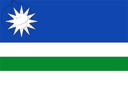 Bandera de Renedo de la Vega