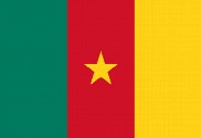 Bandera de Camerún