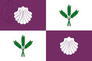 Bandera de El Burgo Ranero