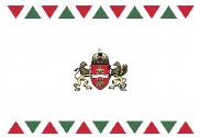 Bandera de Budapest