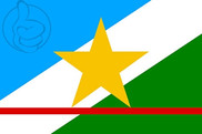 Bandera de Roraima