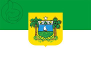 Bandera de Rio Grande del Norte
