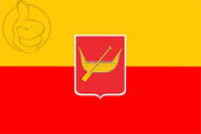 Bandera de Lodz