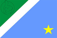 Bandera de Mato Grosso del Sur