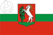 Bandera de Lublin