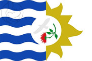 Bandera de Treinta y Tres