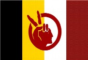 Bandera de Movimiento Indígena Estadounidense
