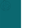 Bandera de Huancayo