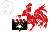 Bandera de Charleroi