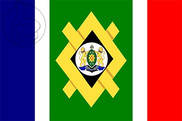 Bandera de Johannesburgo