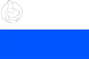 Bandera de Kolin