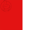 Bandera de Sint-Pieters-Leeuw