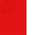 Bandera de Tournai
