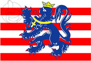 Bandera de Brujas