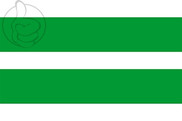 Bandera de Johvi