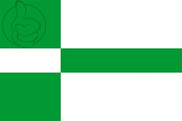 Bandera de Paide