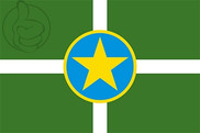 Bandera de Jackson