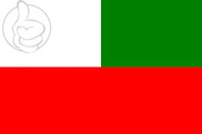 Bandera de Caazapá