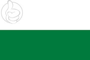 Bandera de Pando