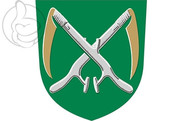 Bandera de Alavieska